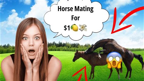 xnxxhorse|horse Animal porn videos .